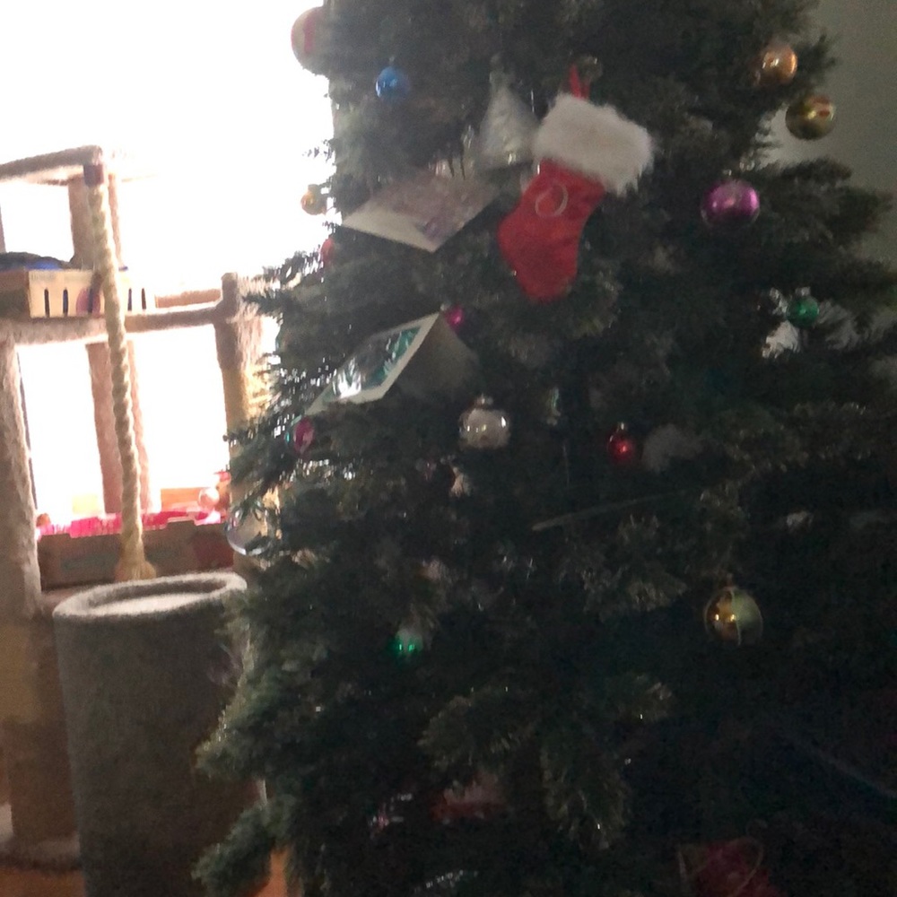 Meet your Posher, Olwen